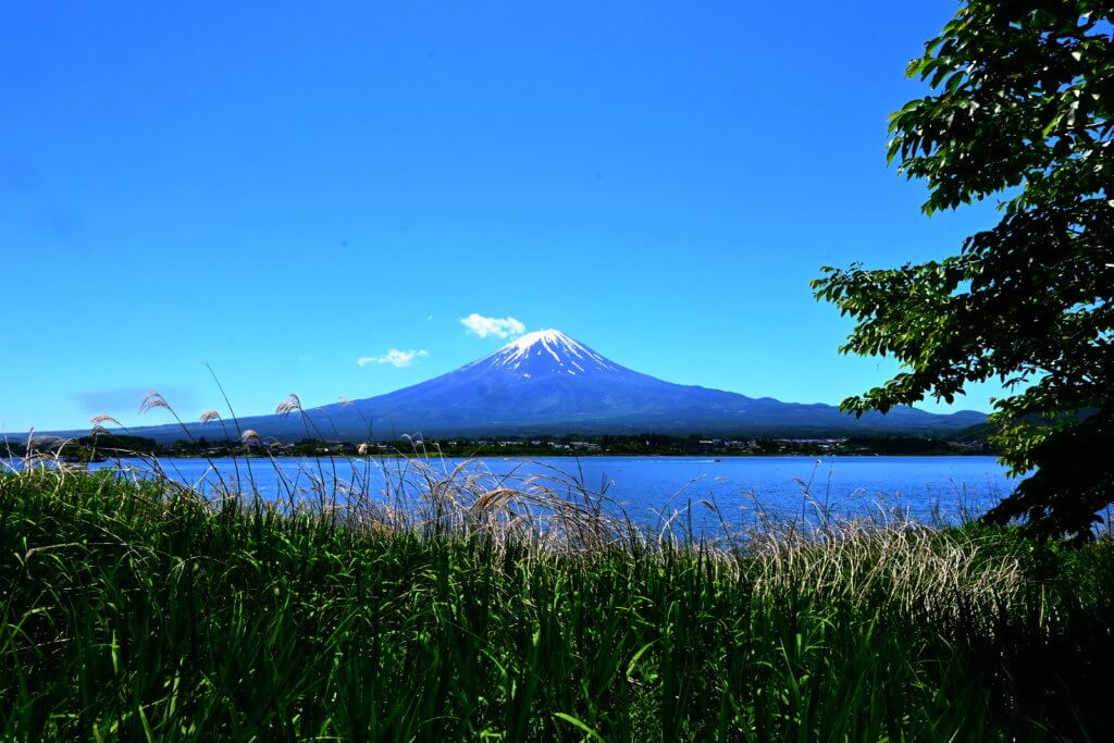 河口湖からみた富士山